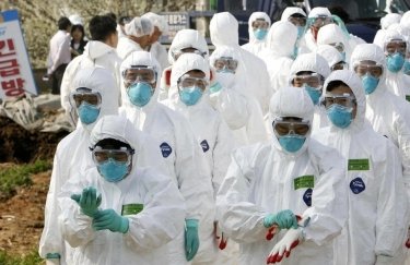 В Южной Корее обнаружен новый вирус птичьего гриппа