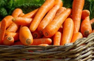 В Украине дорожает морковь: какие цены