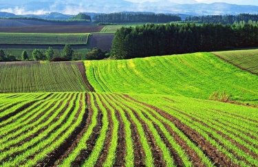 Проект Зеленского об обороте земель предусматривает допуск к рынку земли юрлиц — Кабмин
