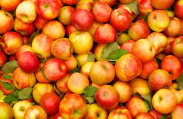 Украина сократила импорт яблок в три раза