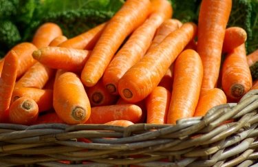 Попит на моркву на українському ринку утримується на катастрофічно низькому рівні. Фото: Рixabay Українські фермери стурбовані рекордно низькими цінами на моркву: в чому причина