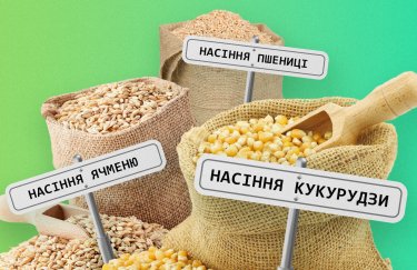Производители семян в условиях войны инвестируют в Украину десятки миллионов евро: какие перспективы у отрасли?