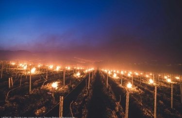 Во Франции разожгли тысячи костров, чтобы спасти виноградники от мороза (ФОТО)