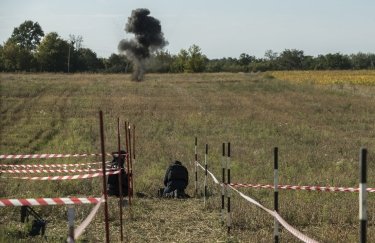 Стоимость разминирования непропорциональна стоимости земли в Украине – "Нибулон"