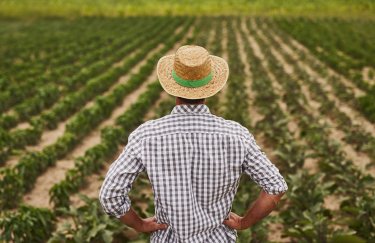 Аграрний ринок праці відновився на 80%. Фото: depositphotos