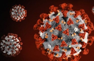 Ученые разработали антикоронавирусную жевательную резинку В США разработали антикоронавирусную жевательную резинку