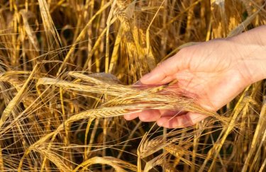 Через сухий травень урожай в Україні буде меншим, ніж очікувалося - УЗА
