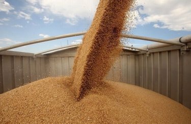 Почему в этом году снизится динамика экспорта зерновых и масличных культур