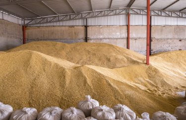 ЕС и США построят зернохранилища на границе Украины, чтобы вывезти заблокированное в портах зерно