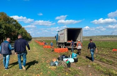 В Украине возобновили торги по аренде сельскохозяйственной земли