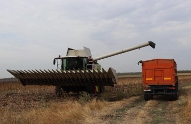 Жнива-2024: в яких областях зібрали найбільше зерна та де найкраща врожайність