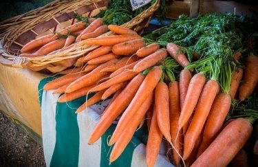 Цены на морковь в Украине продолжают падать
