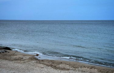 На Одещині спостерігається цвітіння води у Чорному морі