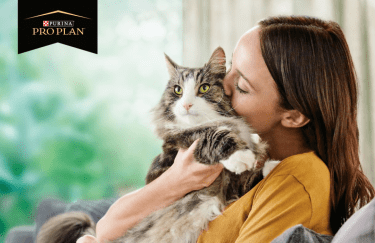Nestlé представила Pro Plan LiveClear, первый корм, уменьшающий уровень аллергенов у котов
