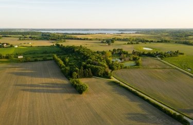 Стартова ціна зросла в 7,6 раза: на Волині, Львівщині та Черкащині відбулися земельні аукціони