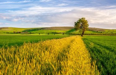 Украинские аграрии смогут приобрести отечественную технику за кредит от ПриватБанка