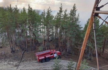 Ликвидация лесного пожара в Луганской области. Фото: ГСЧС