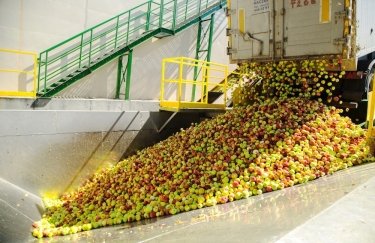 Каждая 10-я бутылка сока в мире сделана из фруктов и ягод украинской компании T.B. Fruit