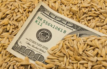 Рада прийняла закон про гарантії повернення валютної виручки при експорті зерна