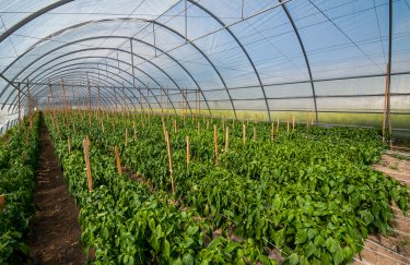 Украинские фермеры получат гранты на строительство теплиц и высадку садов