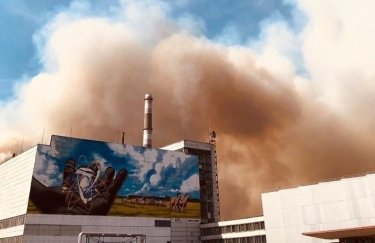 Пожар вокруг Чернобыльской АЭС локализовали: "Хранилища ядерного топлива удалось уберечь"