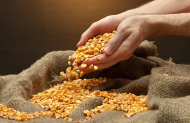 В УЗА спростували інформацію, що Китай відмовляється від української кукурудзи