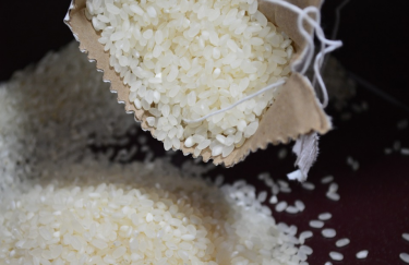 Из-за российской агрессии Украина многократно сократила производство риса