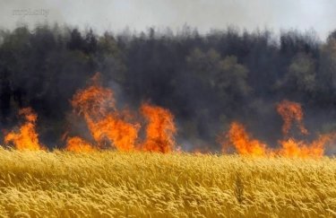 В Запорожской области выгорело 15 га пшеничного поля