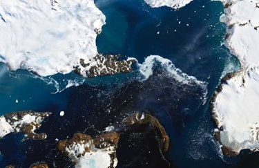 Остров Eagle Island в Антарктиде. Фото: earthobservatory.nasa.gov