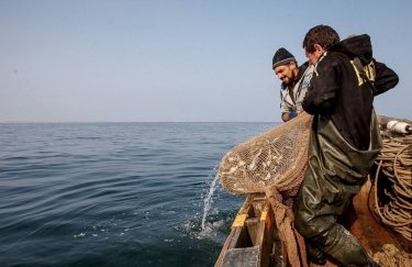 Вылов рыбы в Азовском море