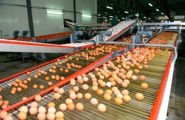 Холдинг украинского производителя яиц переедет из Нидерландов на Кипр