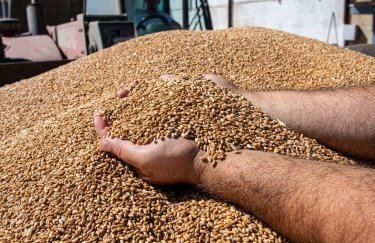 Аграрии могут получить средства на развитие элеваторных мощностей: как это сделать