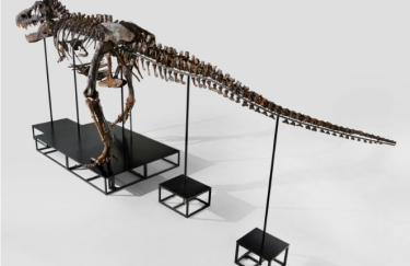 тиронозавр аукціон швейцарія