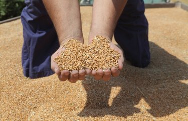 запрет на импорт украинского зерна, Венгрия