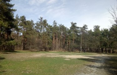 В Киевской области запретили гулять в лесах