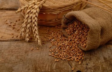 Пять стран Евросоюза призывают Еврокомиссию запретить импорт зерна из России в ЕС