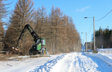 Финляндия начала строительство стены на границе с РФ