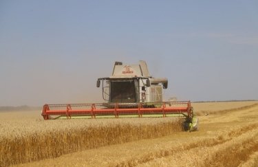 Рекордный урожай пшеницы в Черниговской области. Фото: Facebook / Газета "Срибнянщина"