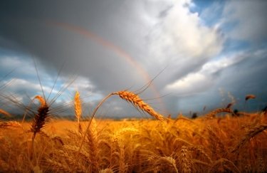 Фото: Depositphotos земля