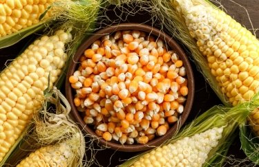 Ілюстрація: freepik В Україні дорожчає фуражна кукурудза: що стимулюює зростання цін
