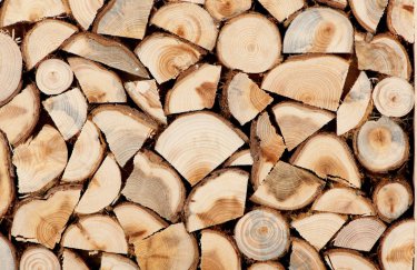 Отопительный сезон: в Украине упростили закупку дров