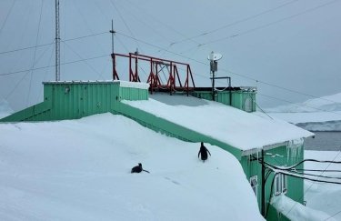 Пингвины ходят по крыше: на станции "Академик Вернадский" зафиксировали новый снежный рекорд (ФОТО)