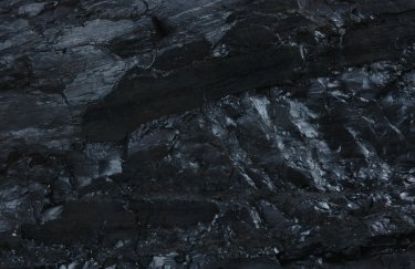 "Нафтогаз" прорабатывает технологию добычи газа из угольных пластов во Львовской области