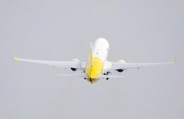Фото: Bees Airline