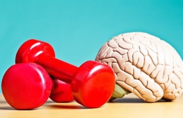 Физкультура и мозг: Как тренировки повышают настроение и улучшают память