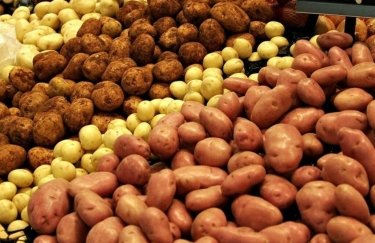Картофель в Украине стоит на 15-20% дешевле, чем годом ранее