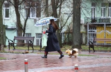 У Києві очікуються пориви вітру і зниження температури повітря: можливий мокрий сніг та ожеледиця