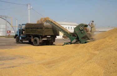 Российские оккупанты украли в Запорожской области 61 тонну пшеницы