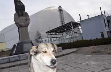 В 2021 году Чернобыль посетило в два раза больше туристов, почти половина из них - иностранцы