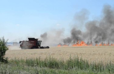 горить поле, рятують врожай, голодомор